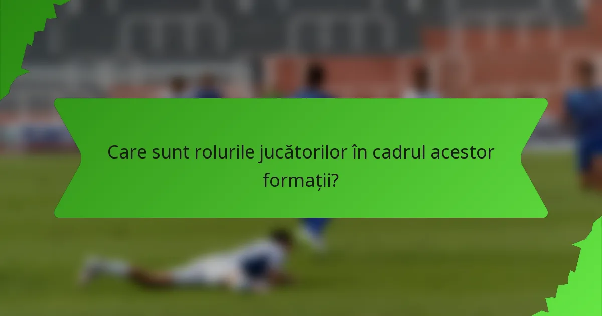 Care sunt rolurile jucătorilor în cadrul acestor formații?